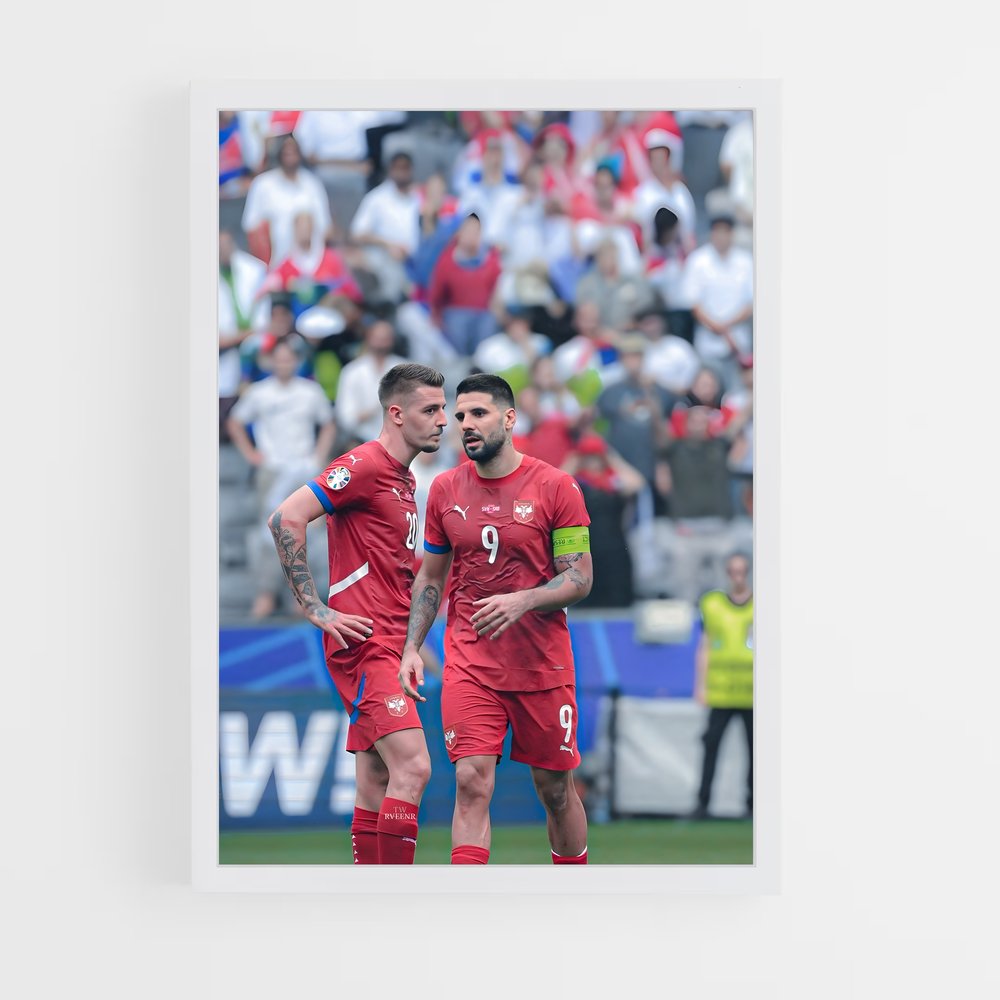 ap-serbia national football team-2 cadre Blanc