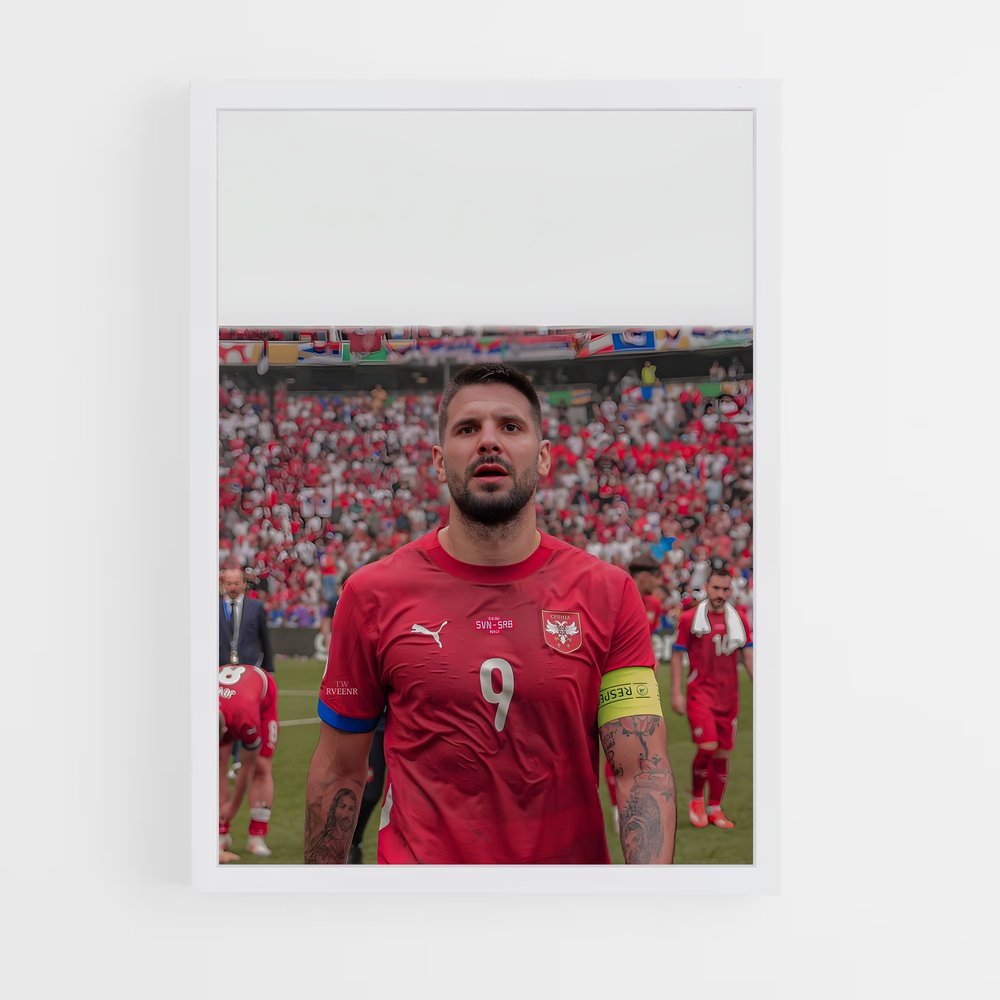 ap-serbia national football team-5 cadre Blanc
