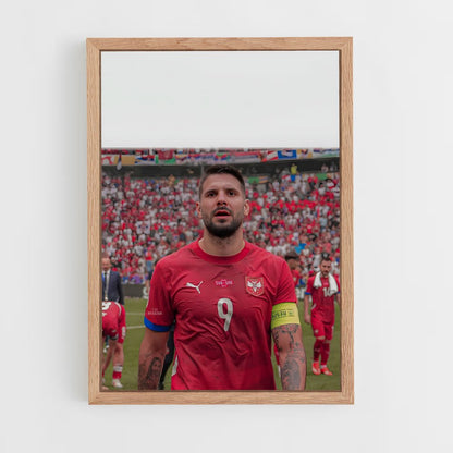 ap-serbia national football team-5 cadre Bois clair