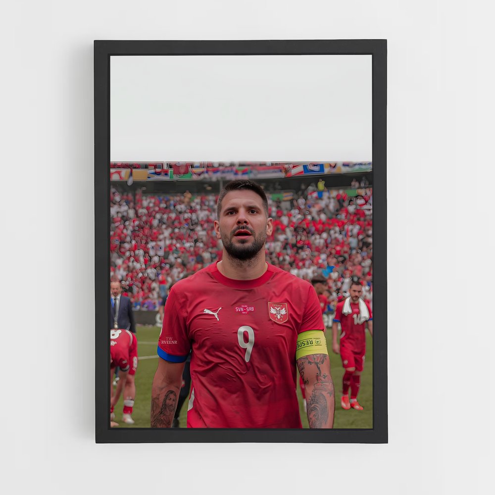 ap-serbia national football team-5 cadre Noir