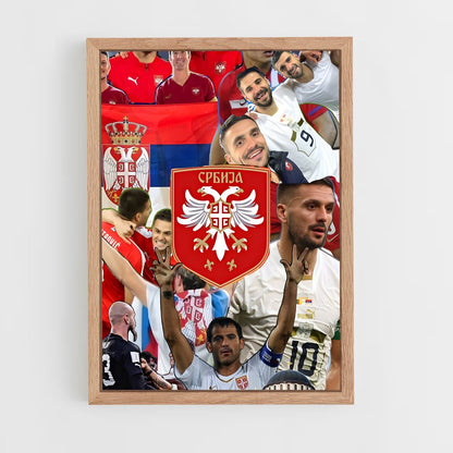 ap-serbia national football team-6 cadre Bois clair