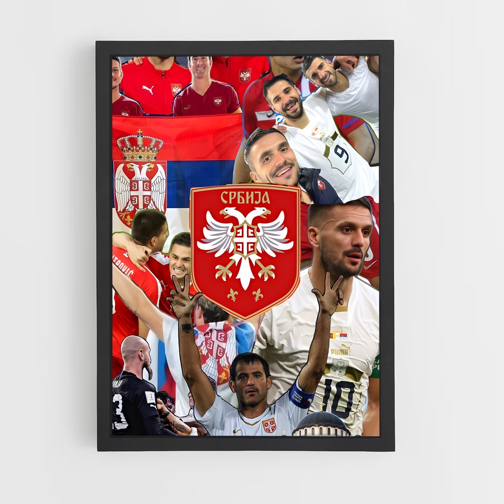 ap-serbia national football team-6 cadre Noir
