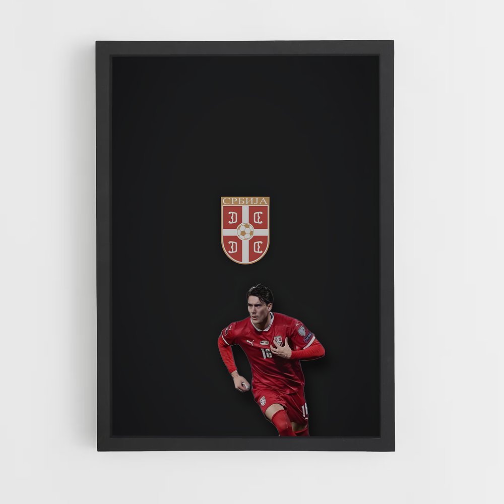 ap-serbia national football team-7 cadre Noir