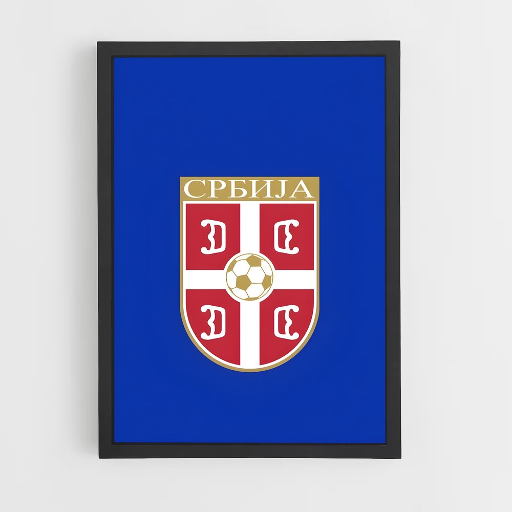 ap-serbia national football team-8 cadre Noir