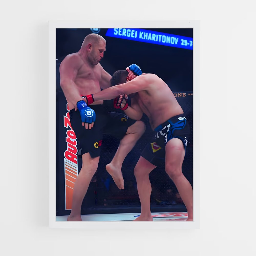 ap-sergei kharitonov-9 cadre Blanc