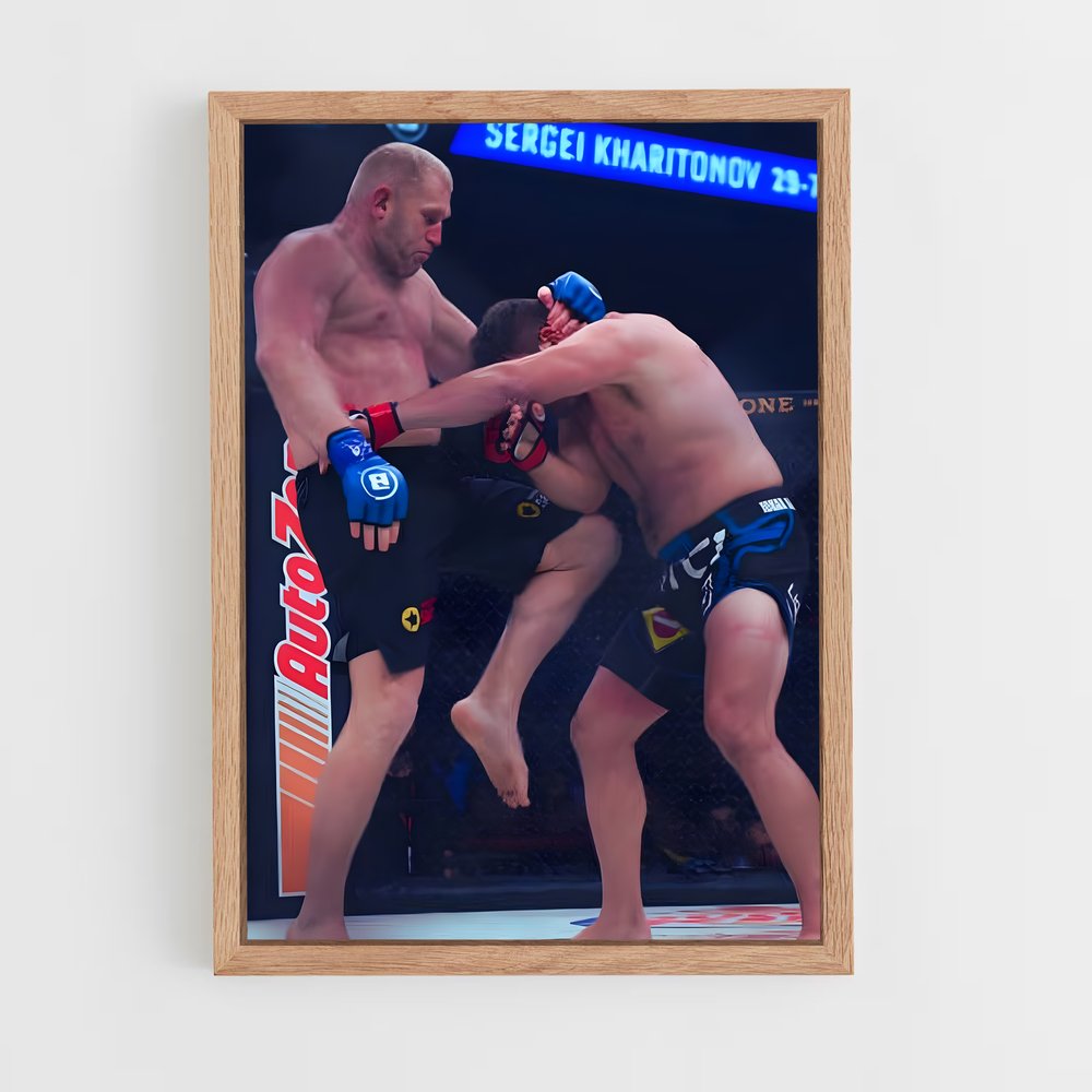ap-sergei kharitonov-9 cadre Bois clair
