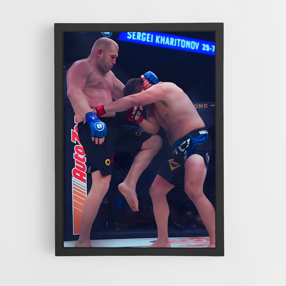 ap-sergei kharitonov-9 cadre Noir