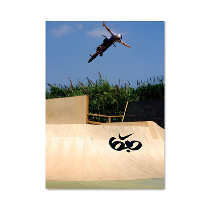 Poster Skate à Mide