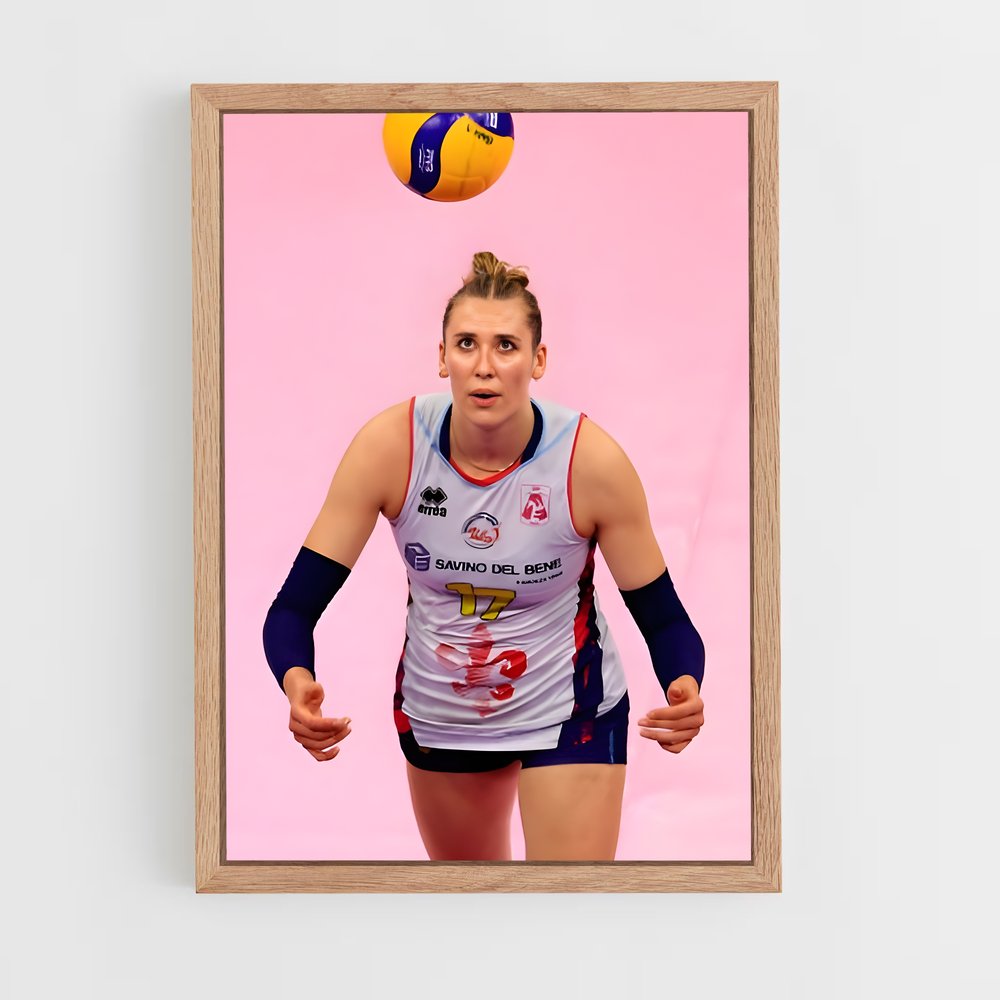 ap-serie a1 italy volleyball-2 cadre Bois clair