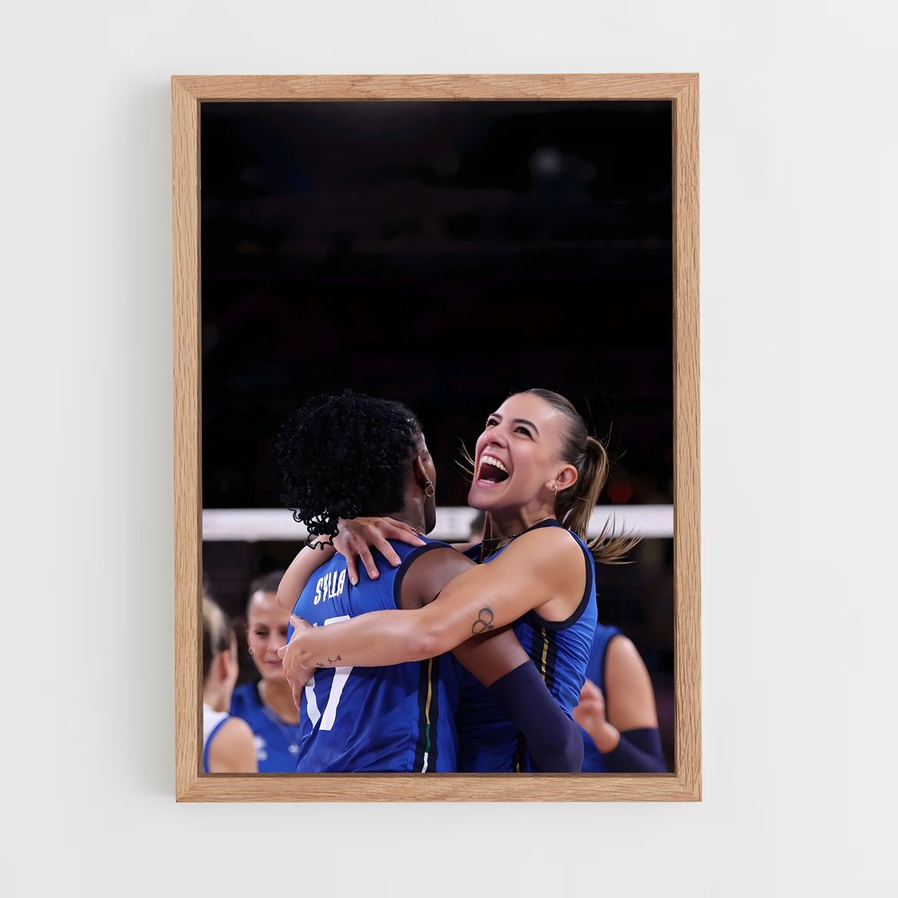 ap-serie a1 italy volleyball-3 cadre Bois clair