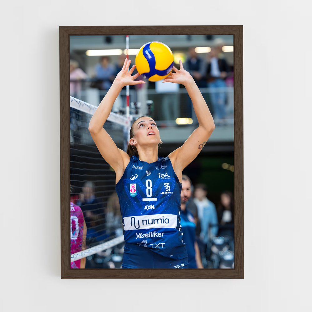 ap-serie a1 italy volleyball-4 cadre Bois foncé