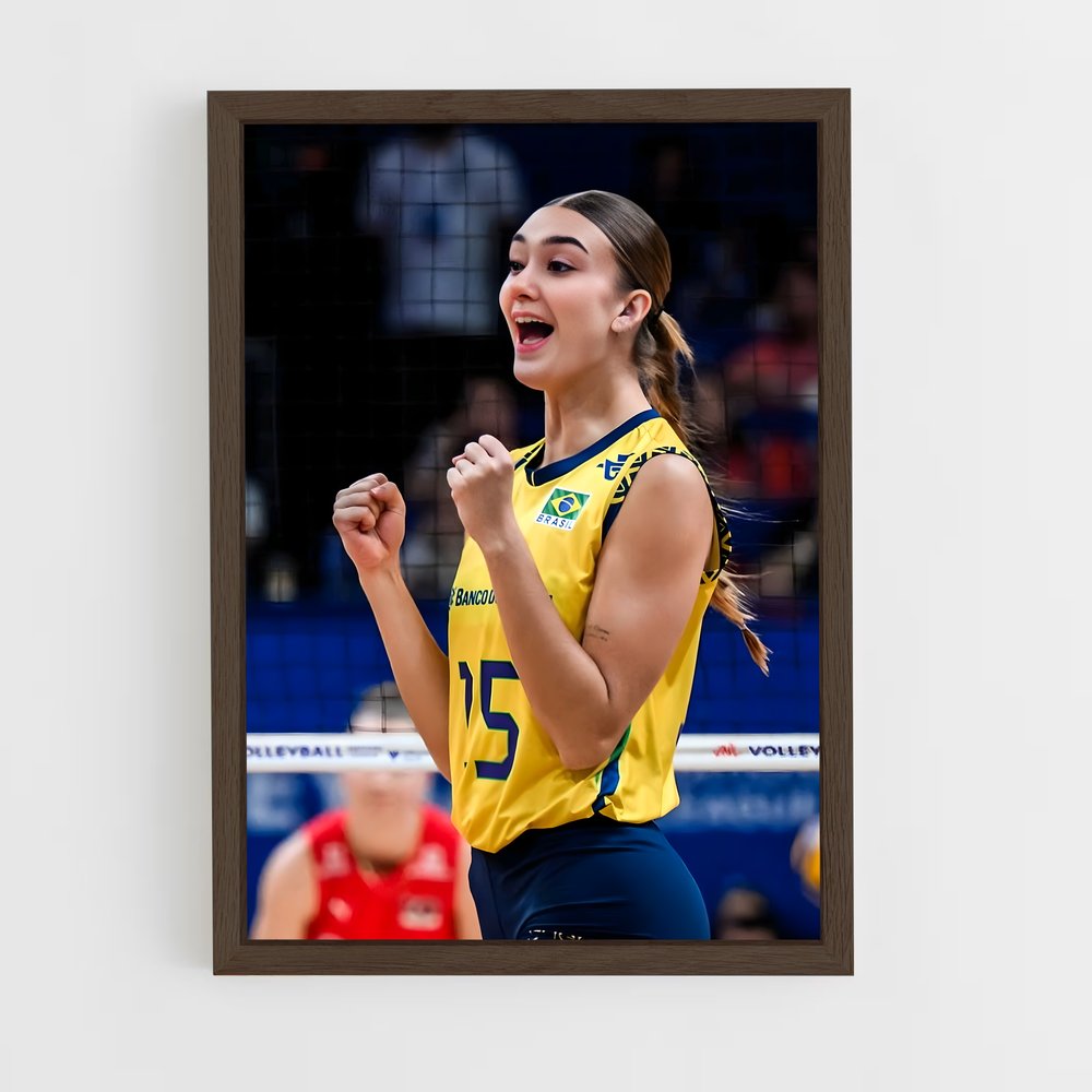 ap-serie a1 italy volleyball-5 cadre Bois foncé
