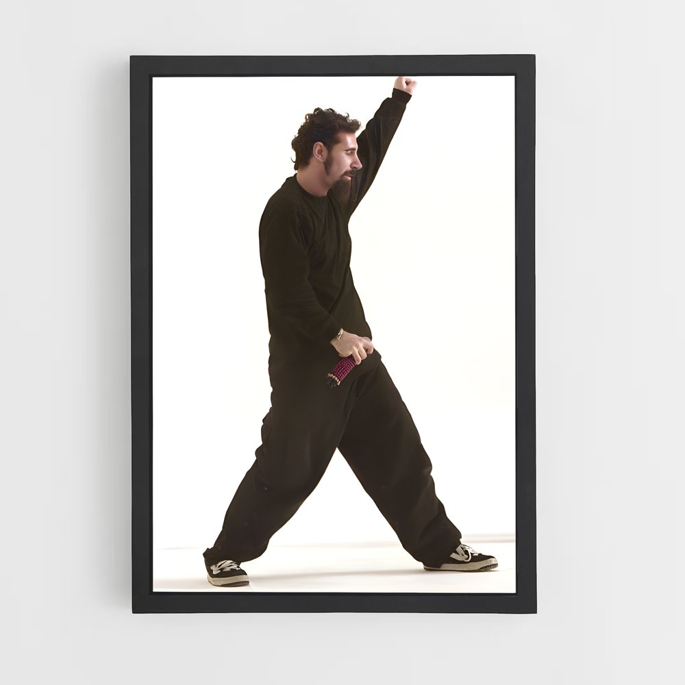 ap-serj tankian-1 cadre Noir