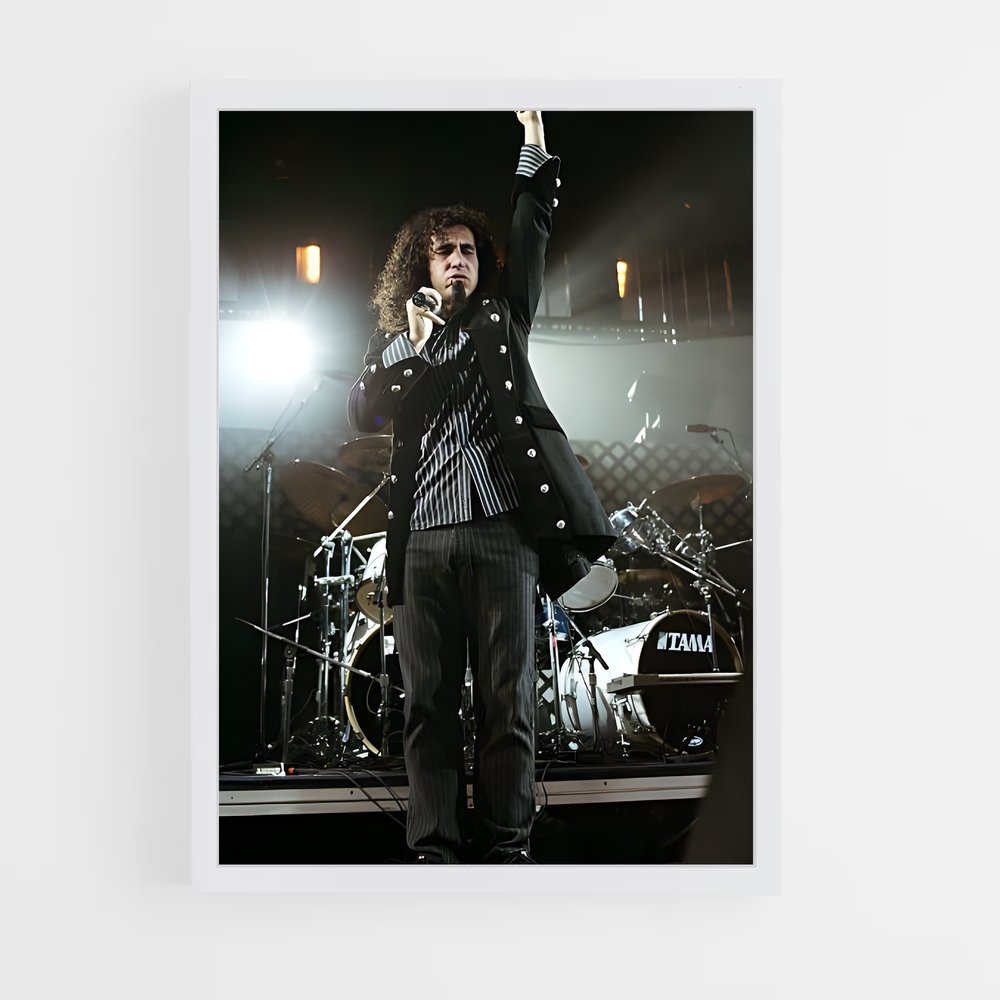 ap-serj tankian-4 cadre Blanc