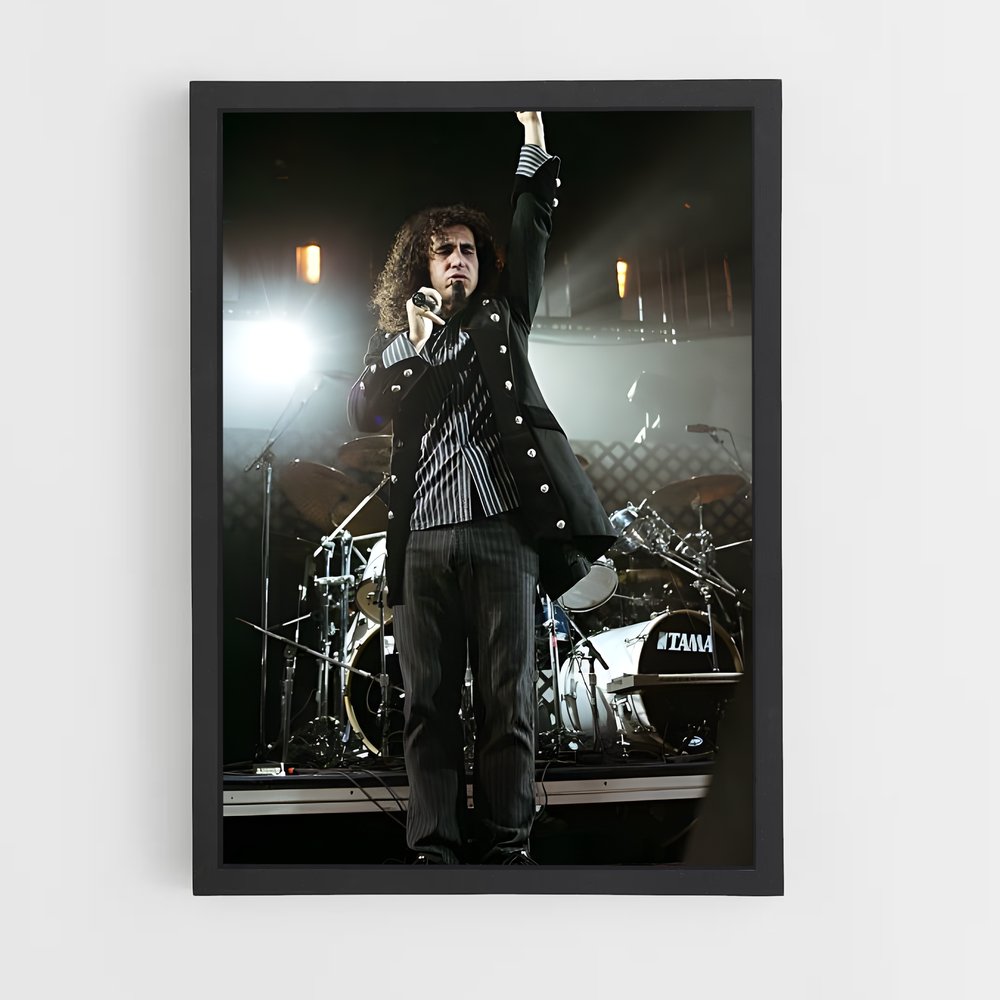 ap-serj tankian-4 cadre Noir