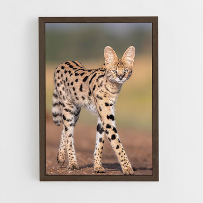 ap-serval-1 cadre Bois foncé
