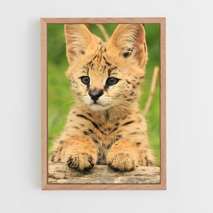 ap-serval-2 cadre Bois clair