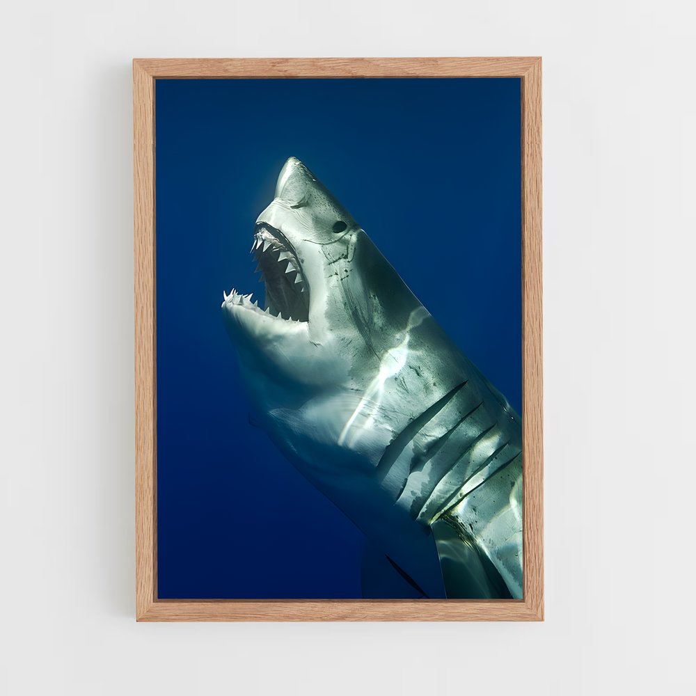 ap-shark-1 cadre Bois clair