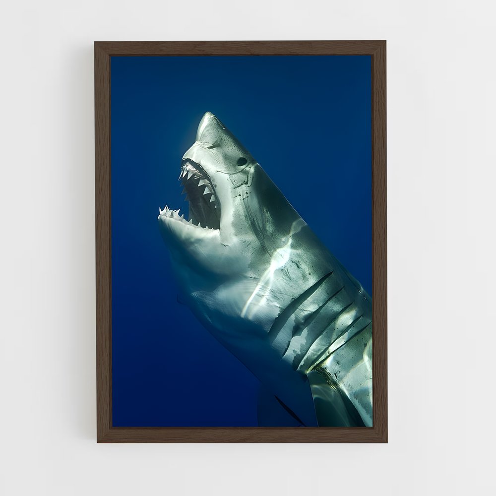 ap-shark-1 cadre Bois foncé
