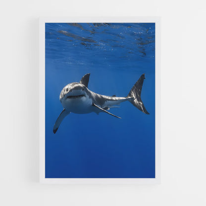 ap-shark-2 cadre Blanc