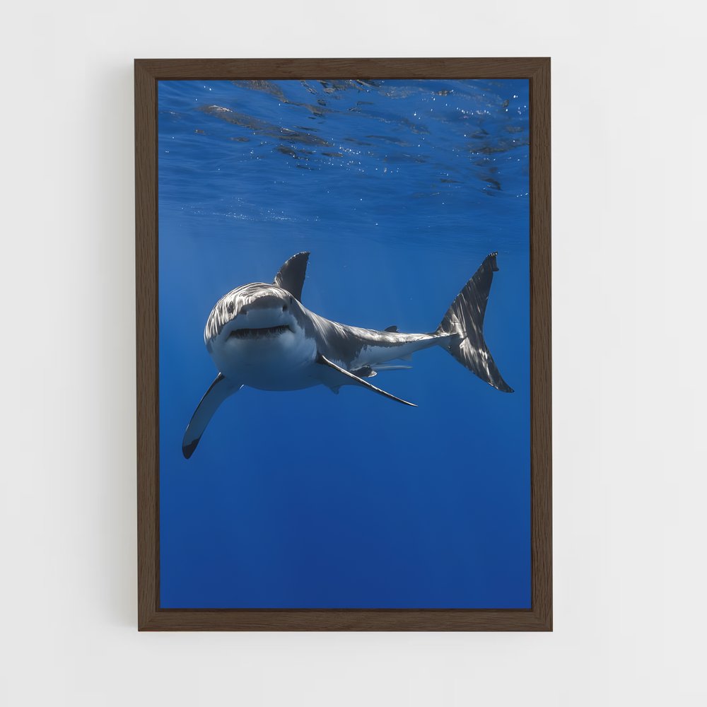ap-shark-2 cadre Bois foncé