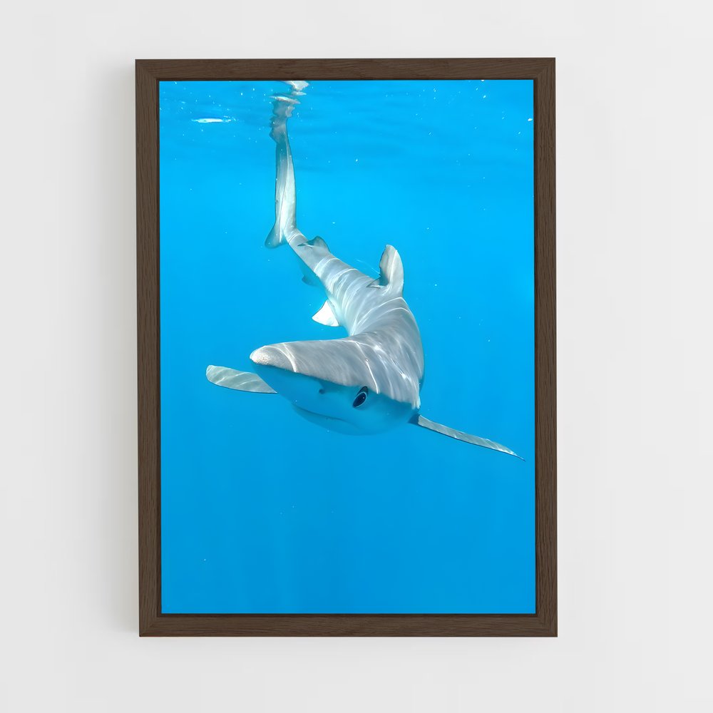 ap-shark-3 cadre Bois foncé