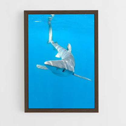 ap-shark-3 cadre Bois foncé