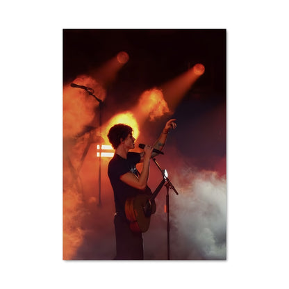 Poster Shawn mendes 52526