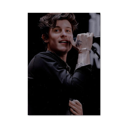 Poster Shawn mendes 52522