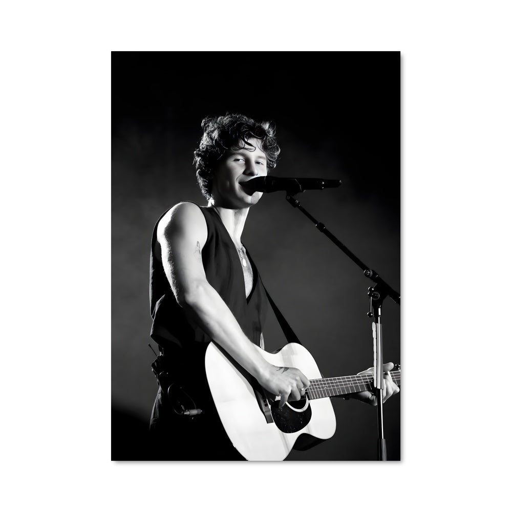 Poster Shawn mendes 52520