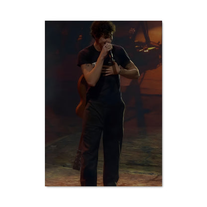 Poster Shawn mendes 52518