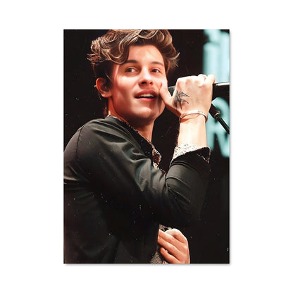 Poster Shawn en Concert