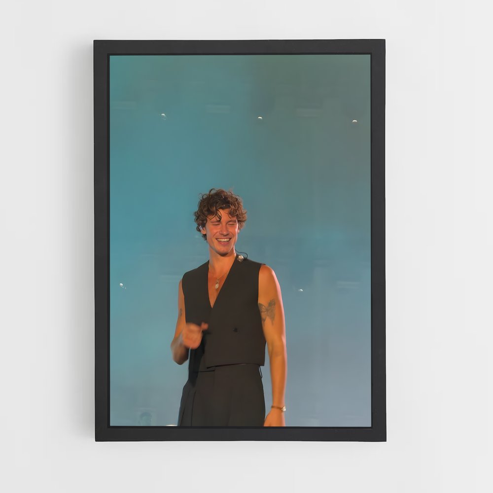 ap-shawn mendes-10 cadre Noir