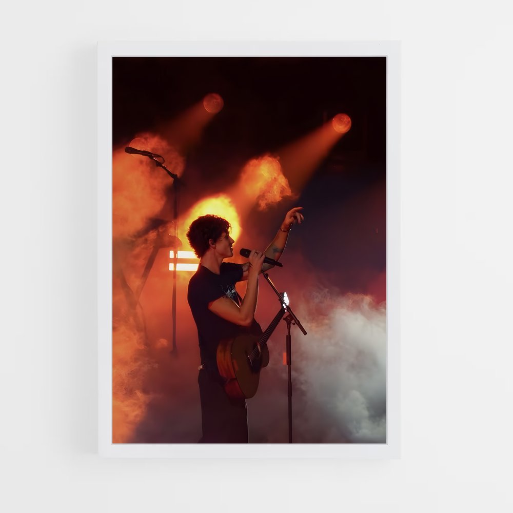 ap-shawn mendes-11 cadre Blanc