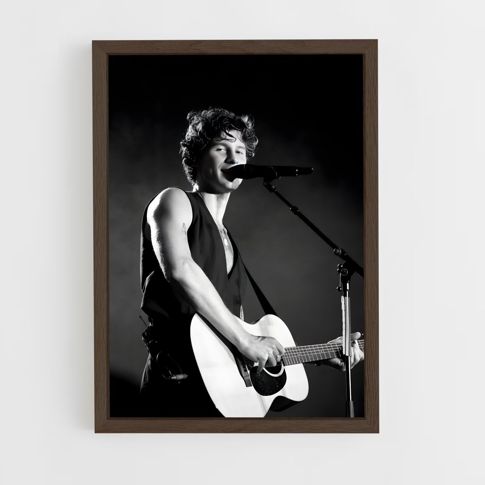 ap-shawn mendes-13 cadre Bois foncé