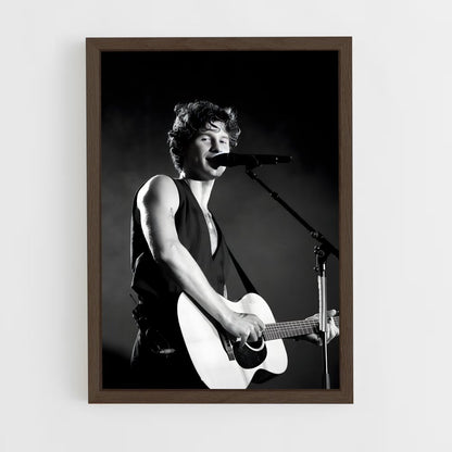 ap-shawn mendes-13 cadre Bois foncé