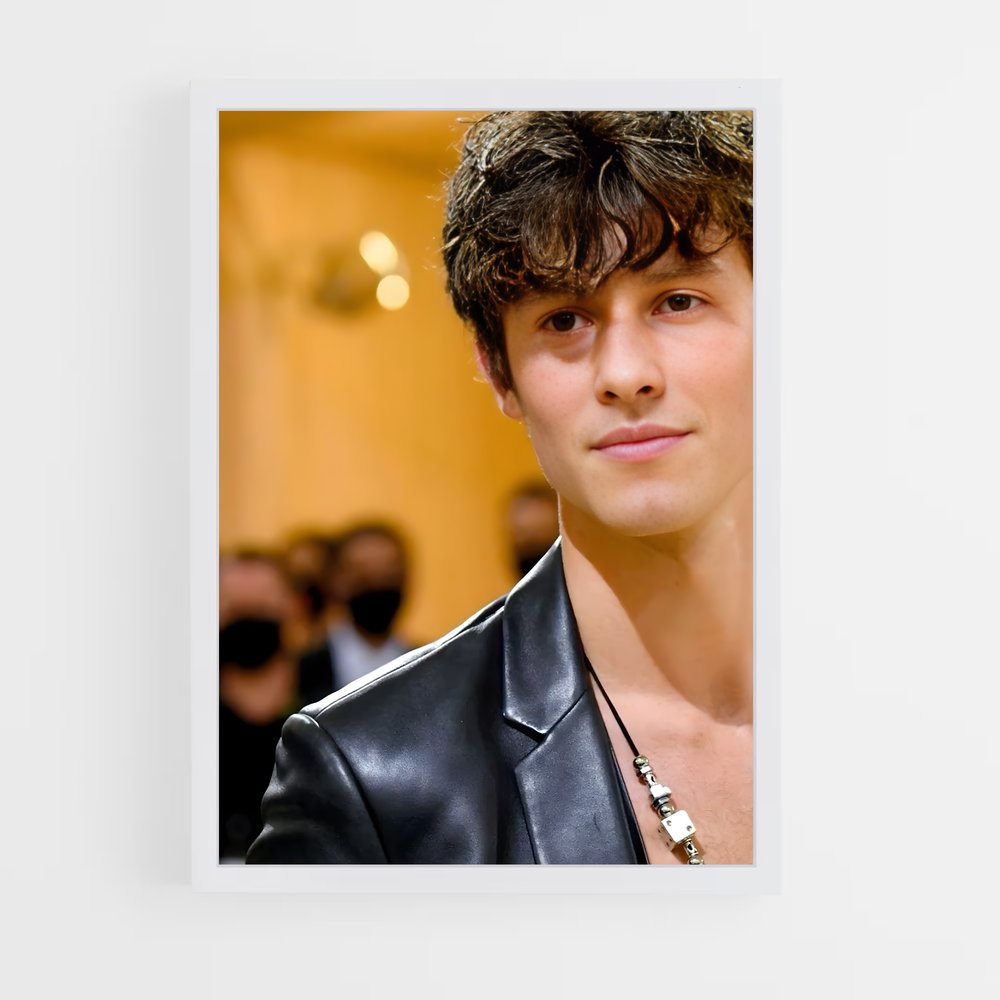 ap-shawn mendes-2 cadre Blanc