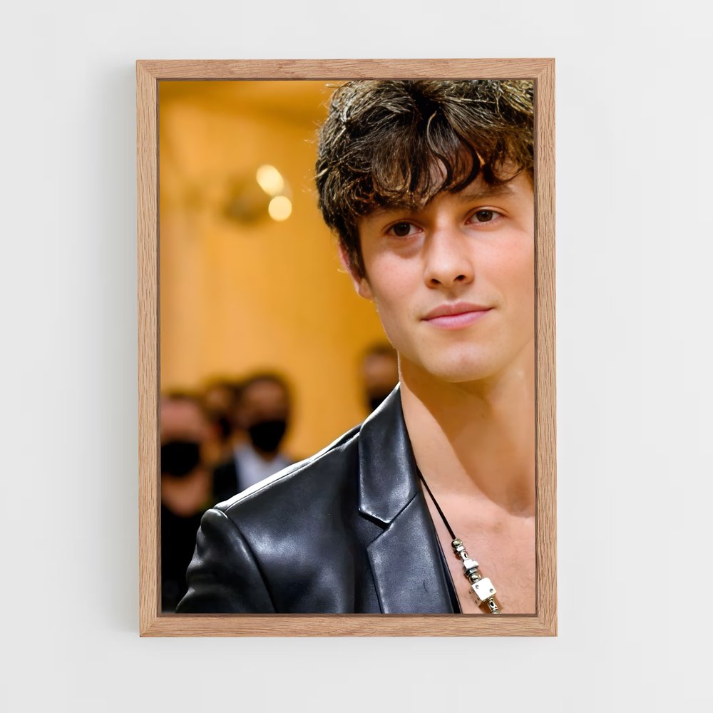 ap-shawn mendes-2 cadre Bois clair