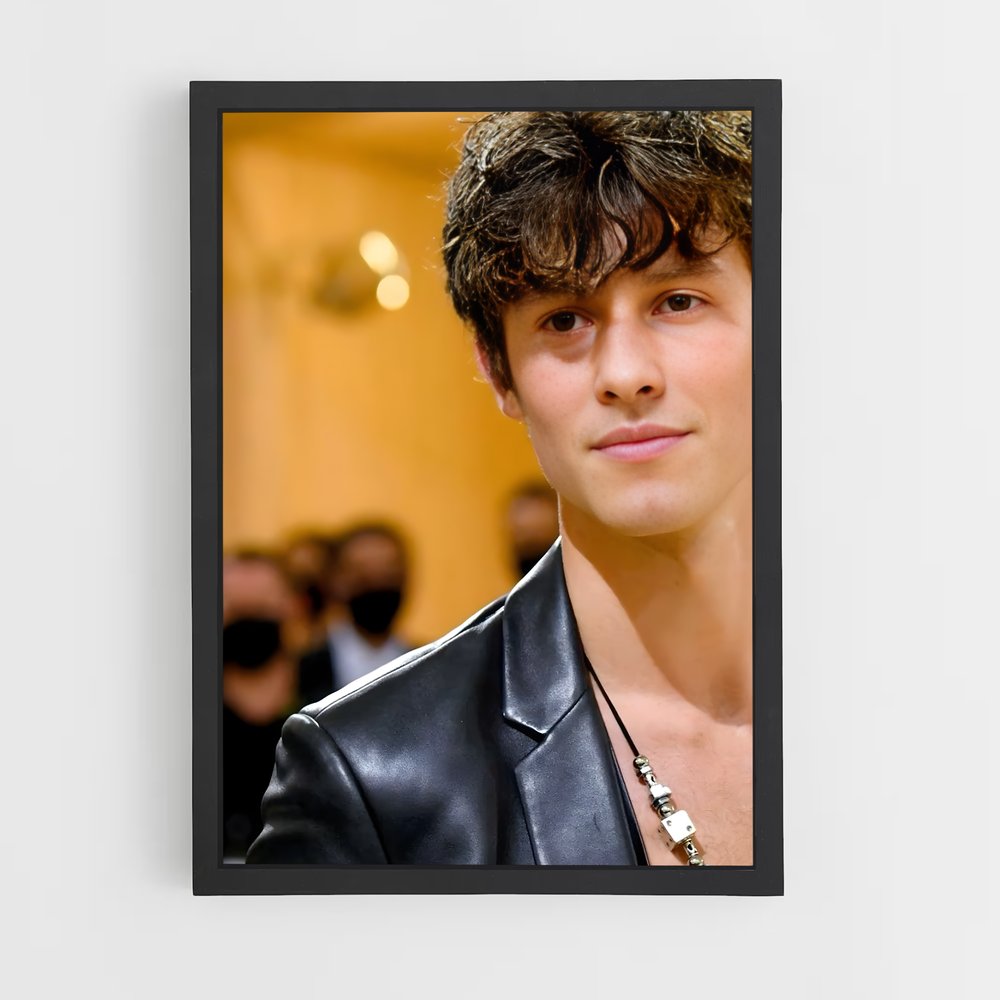 ap-shawn mendes-2 cadre Noir