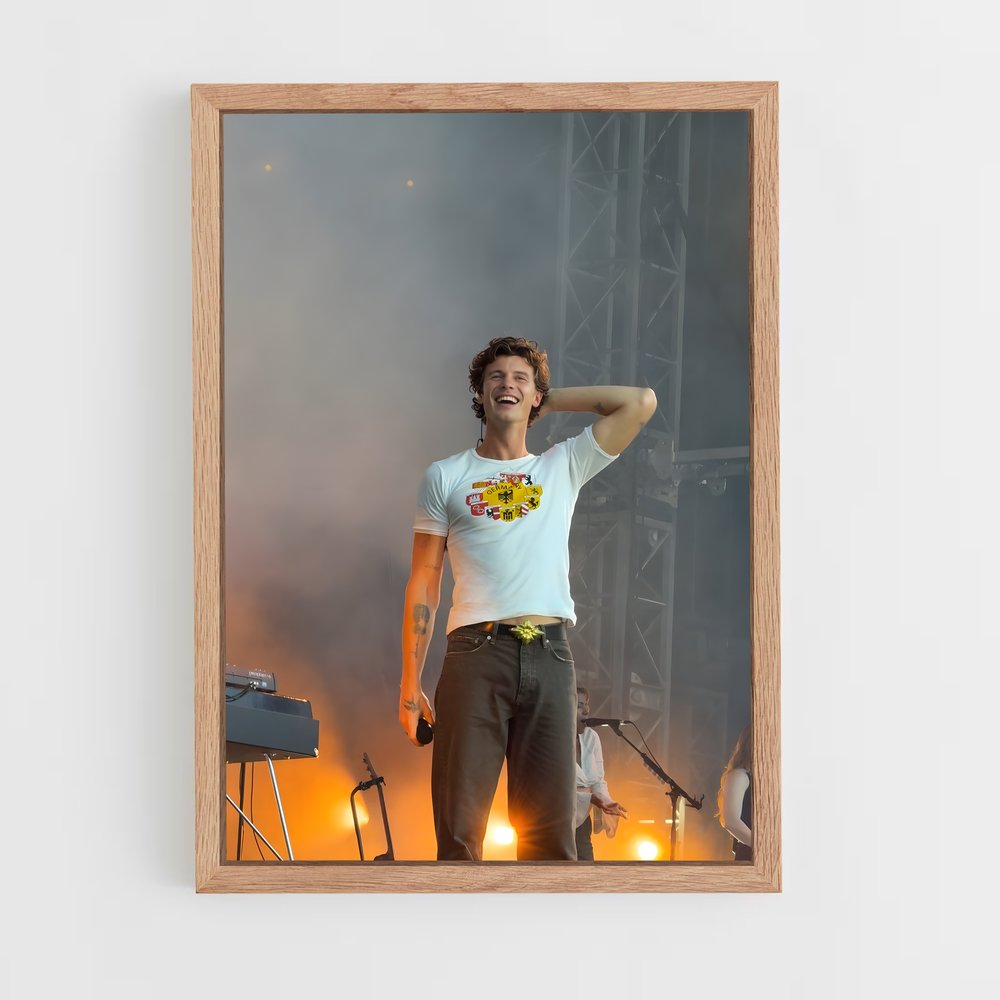 ap-shawn mendes-3 cadre Bois clair