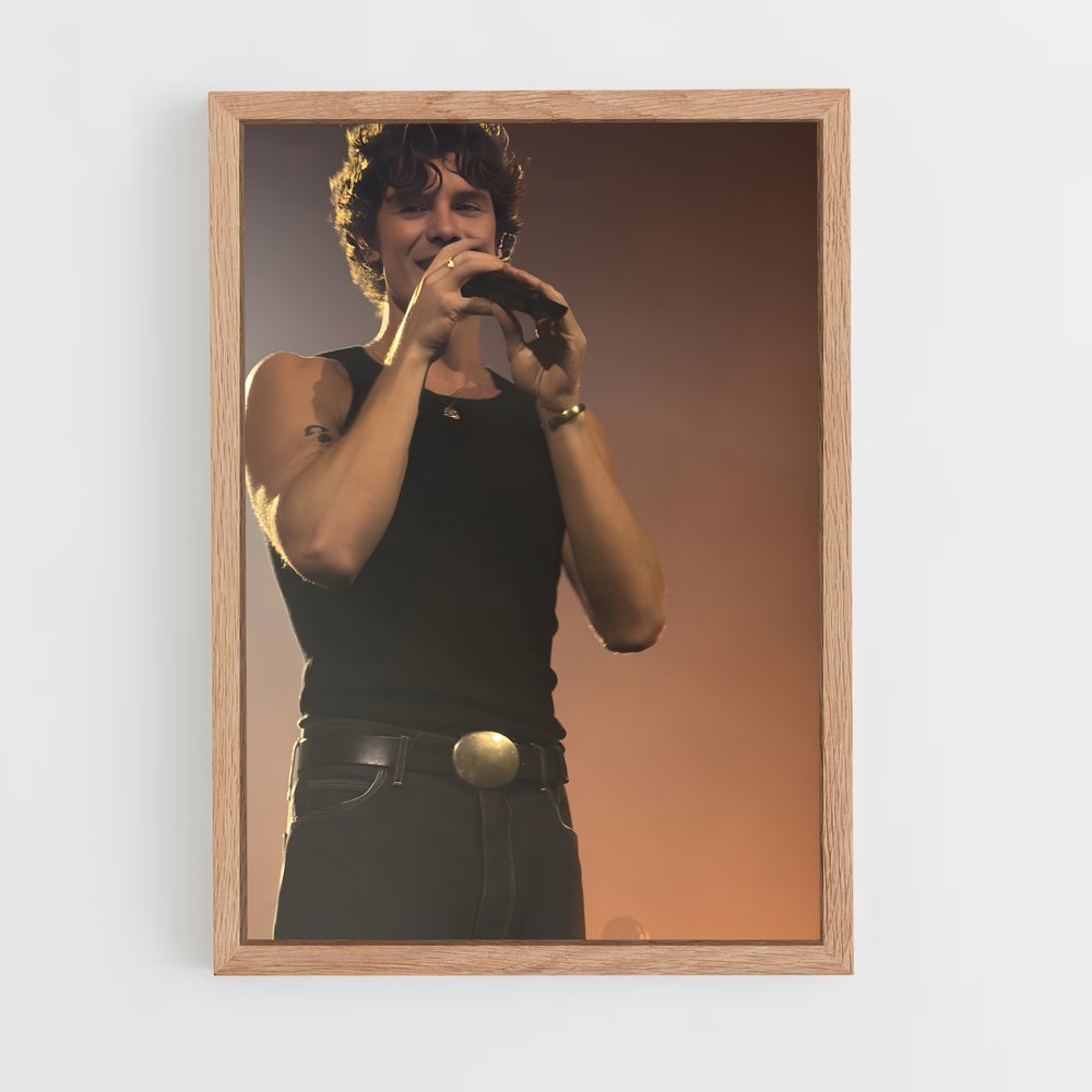 ap-shawn mendes-7 cadre Bois clair