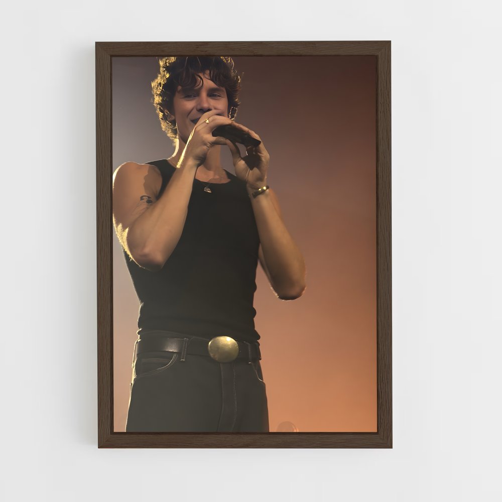 ap-shawn mendes-7 cadre Bois foncé