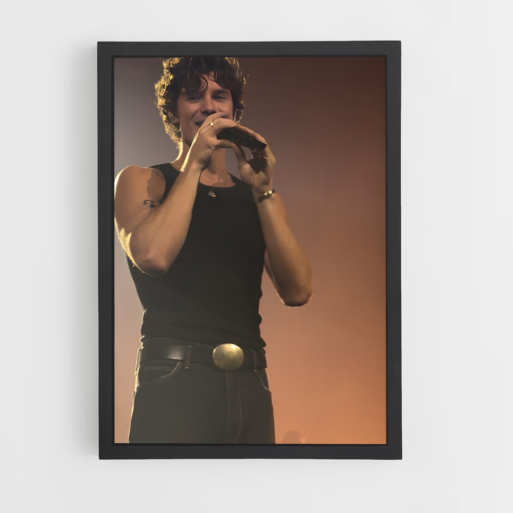 ap-shawn mendes-7 cadre Noir