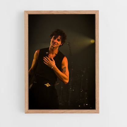 ap-shawn mendes-9 cadre Bois clair