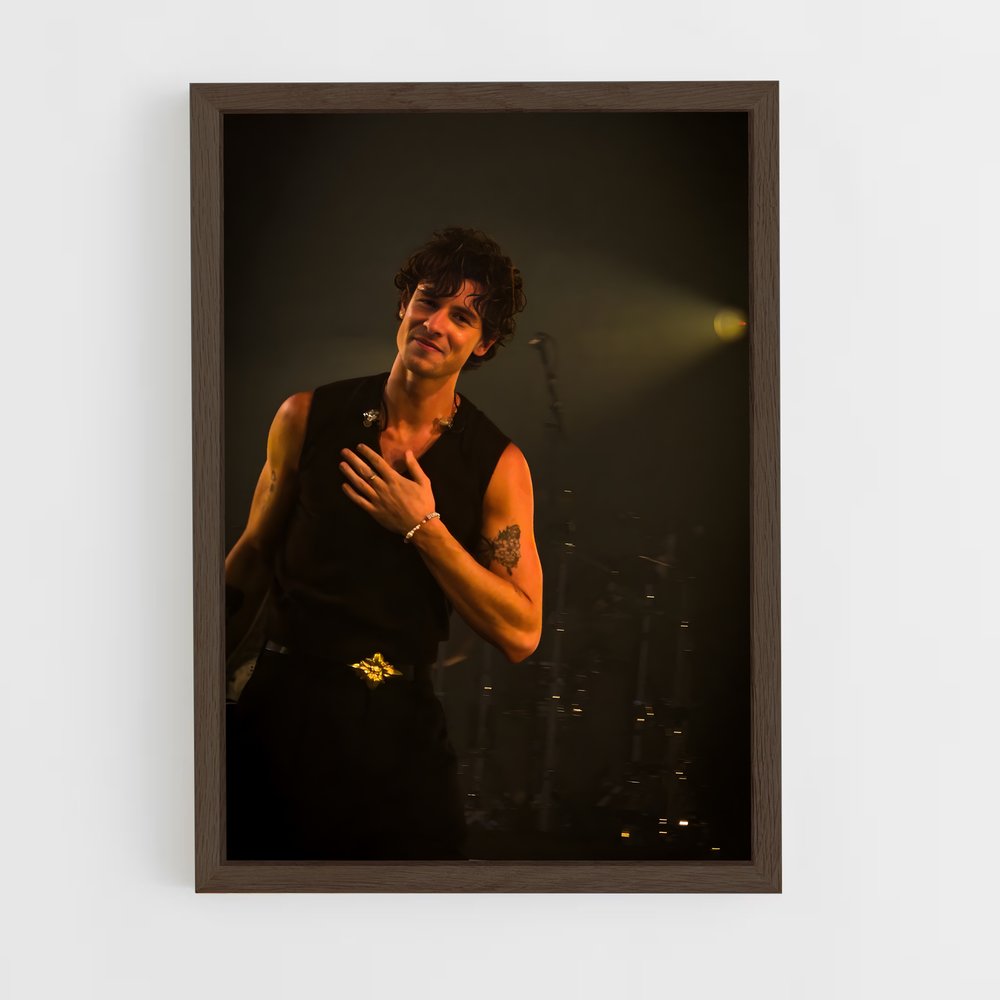 ap-shawn mendes-9 cadre Bois foncé