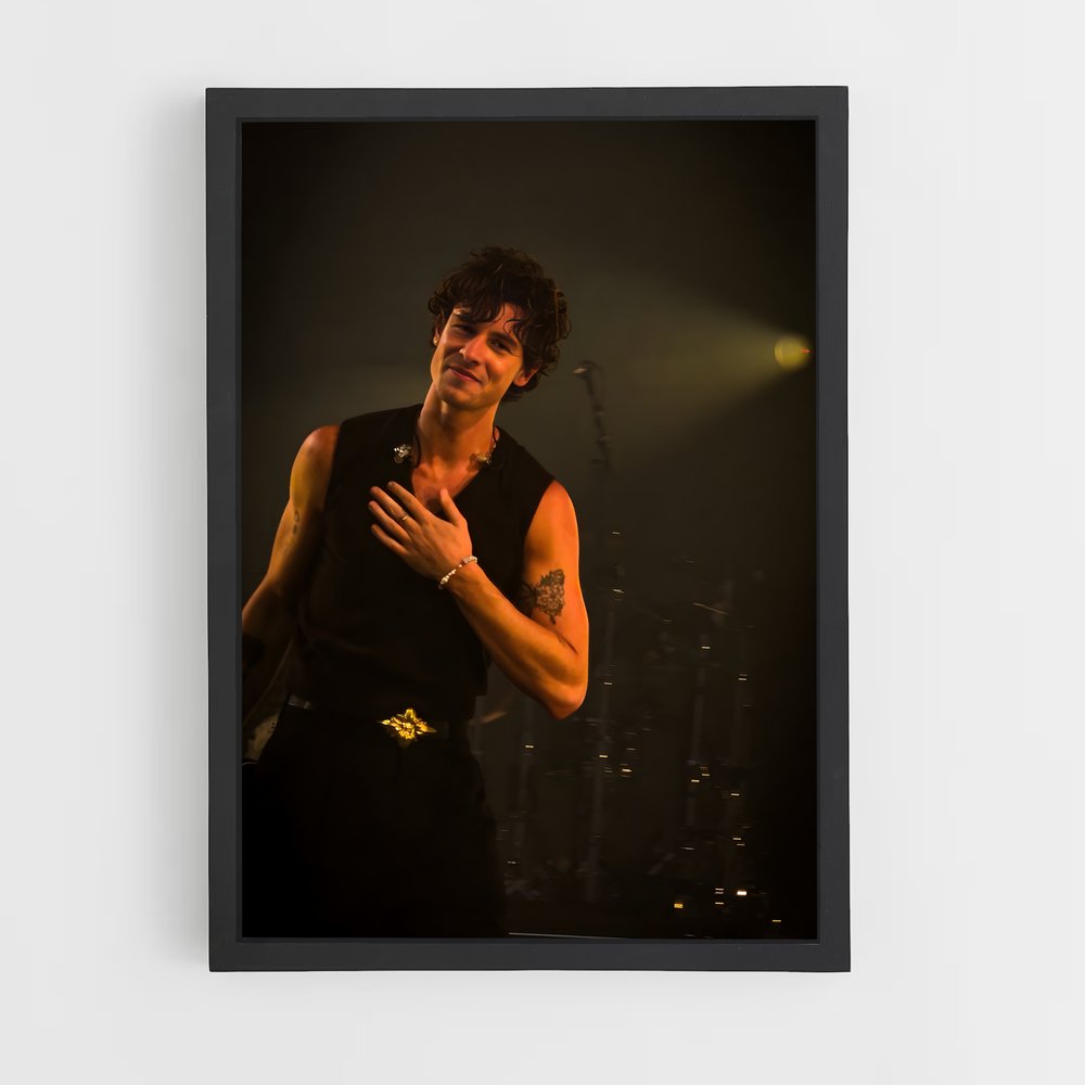 ap-shawn mendes-9 cadre Noir