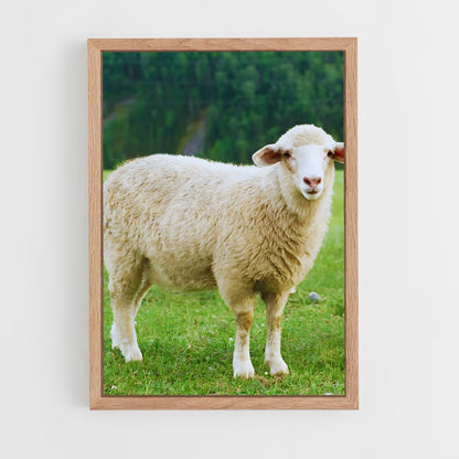 ap-sheep-2 cadre Bois clair