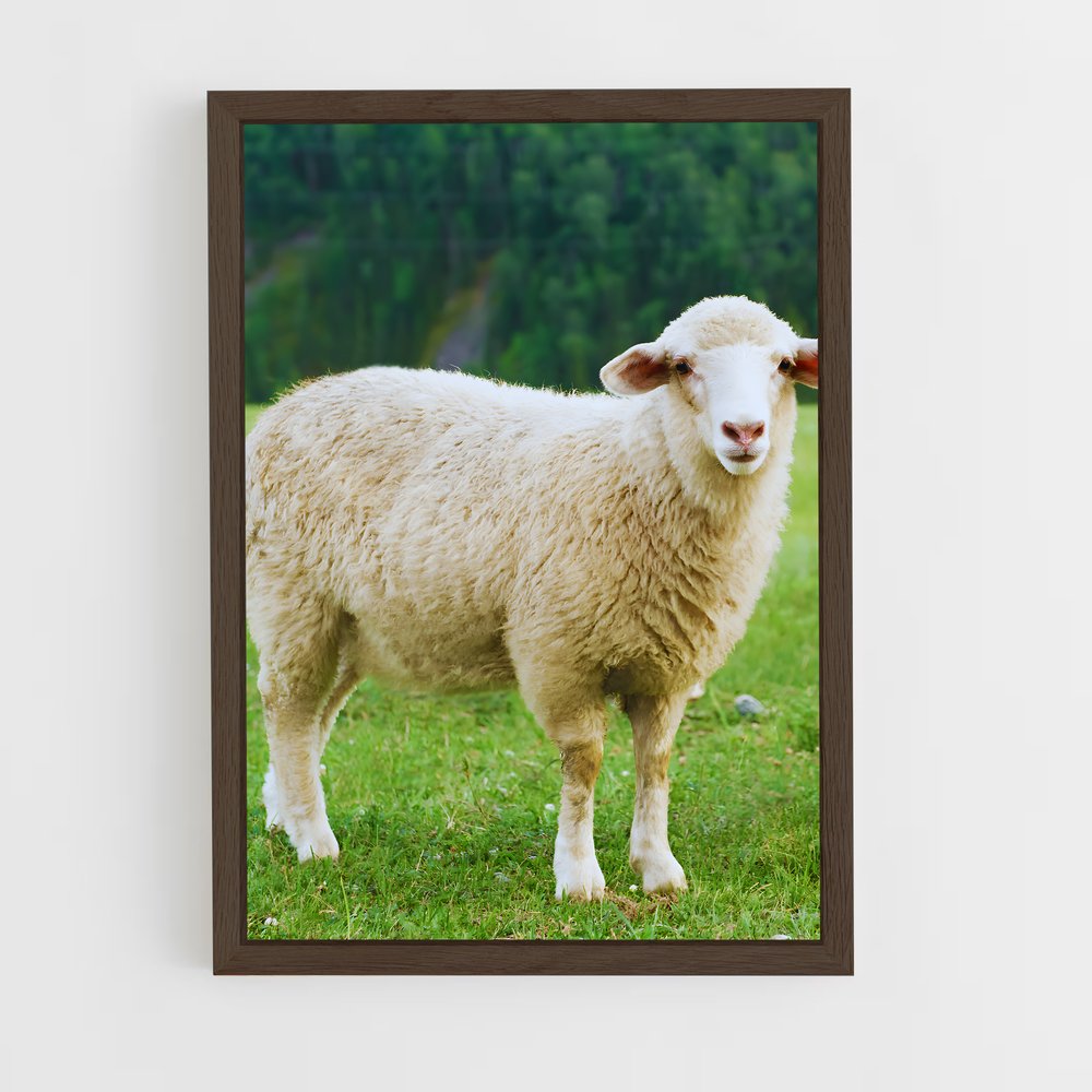 ap-sheep-2 cadre Bois foncé