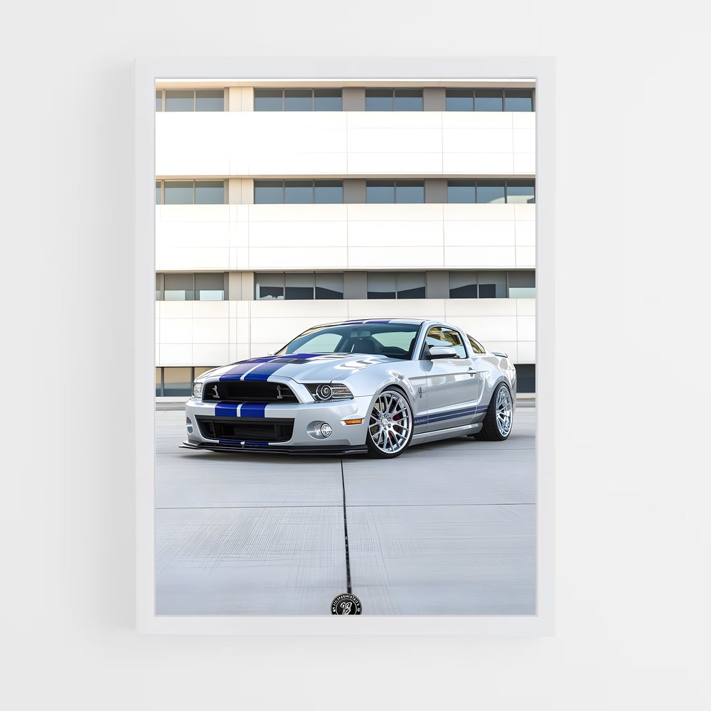 ap-shelby-1 cadre Blanc