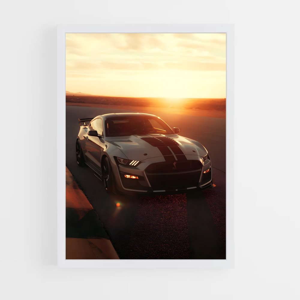 ap-shelby-2 cadre Blanc